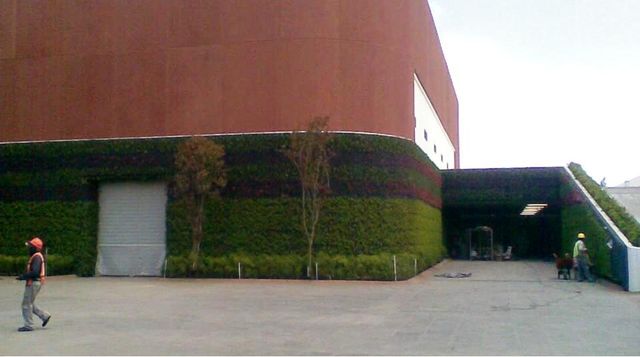 Muro verde Hangar